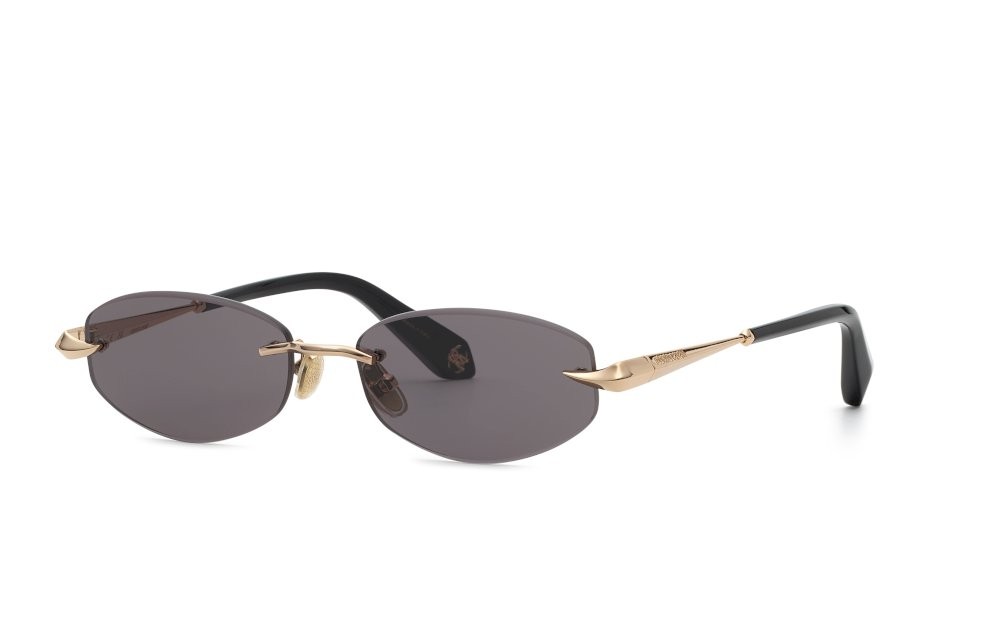 Sunglasses Roberto Cavalli SRC207M (0300) 