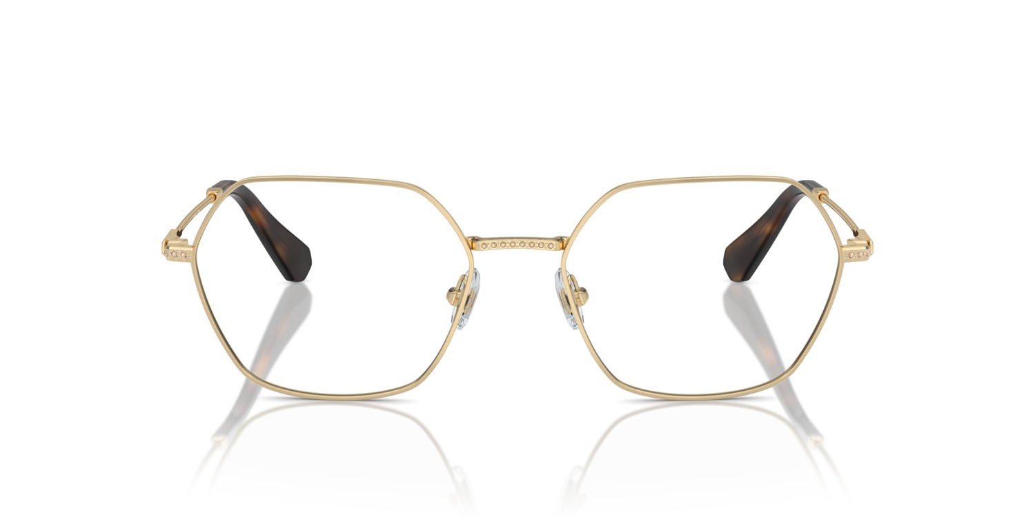 Eyeglasses Swarovski SK 1011 (4013) color oro pallido shape irregular lenses lente demo