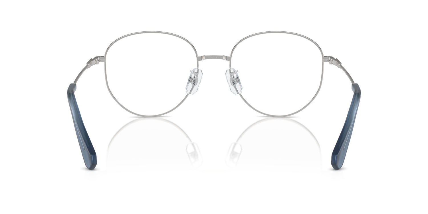 Brillen Swarovski SK 1016D (4001) farbe argento form rund gläser lente demo