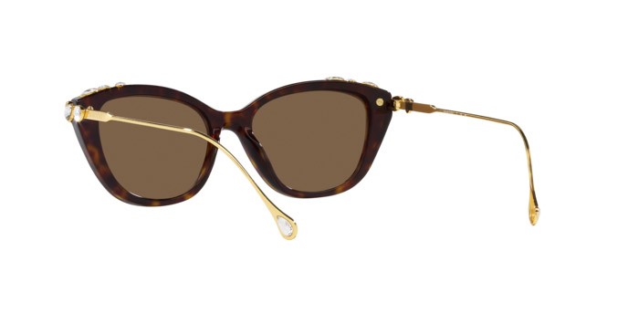 Sunglasses Swarovski SK 6010 (100273) color havana shape cat eye lenses marrone scuro