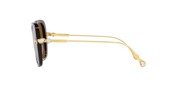 Sunglasses Swarovski SK 6011 (100283) color havana shape square lenses polar marrone
