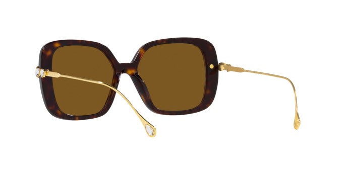 Sunglasses Swarovski SK 6011 (100283) color havana shape square lenses polar marrone
