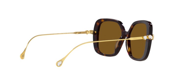 Sunglasses Swarovski SK 6011 (100283) color havana shape square lenses polar marrone