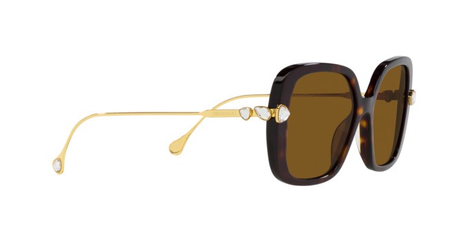 Sunglasses Swarovski SK 6011 (100283) color havana shape square lenses polar marrone