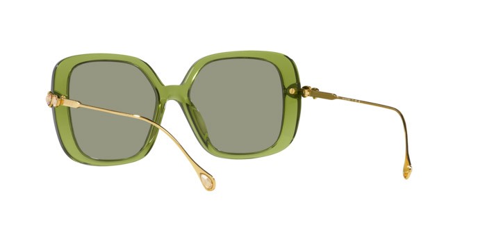 Sunglasses Swarovski SK 6011 (3002/2) color trasparent green shape square lenses verde