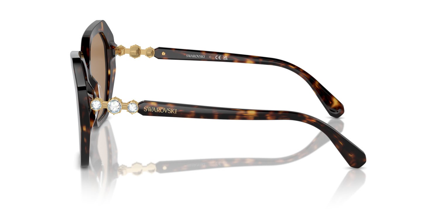 Sunglasses Swarovski SK 6017 (1002M4) color havana scuro shape irregular lenses fotocromatica marrone
