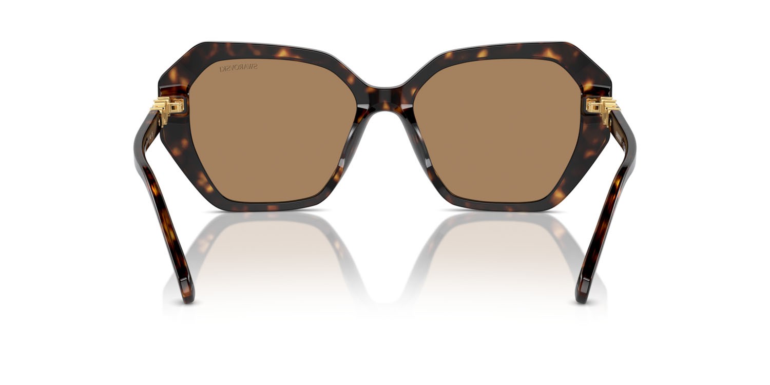 Sunglasses Swarovski SK 6017 (1002M4) color havana scuro shape irregular lenses fotocromatica marrone