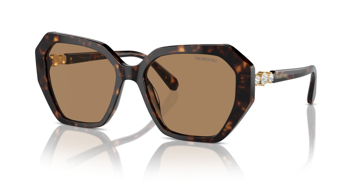 Sunglasses Swarovski SK 6017 (1002M4) color havana scuro shape irregular lenses fotocromatica marrone