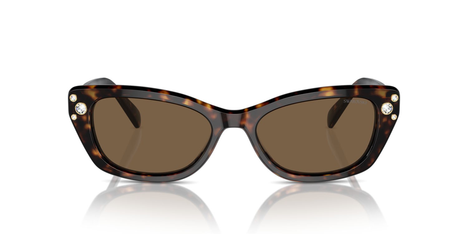 Sunglasses Swarovski SK 6019 (100273) color havana shape square lenses marrone scuro