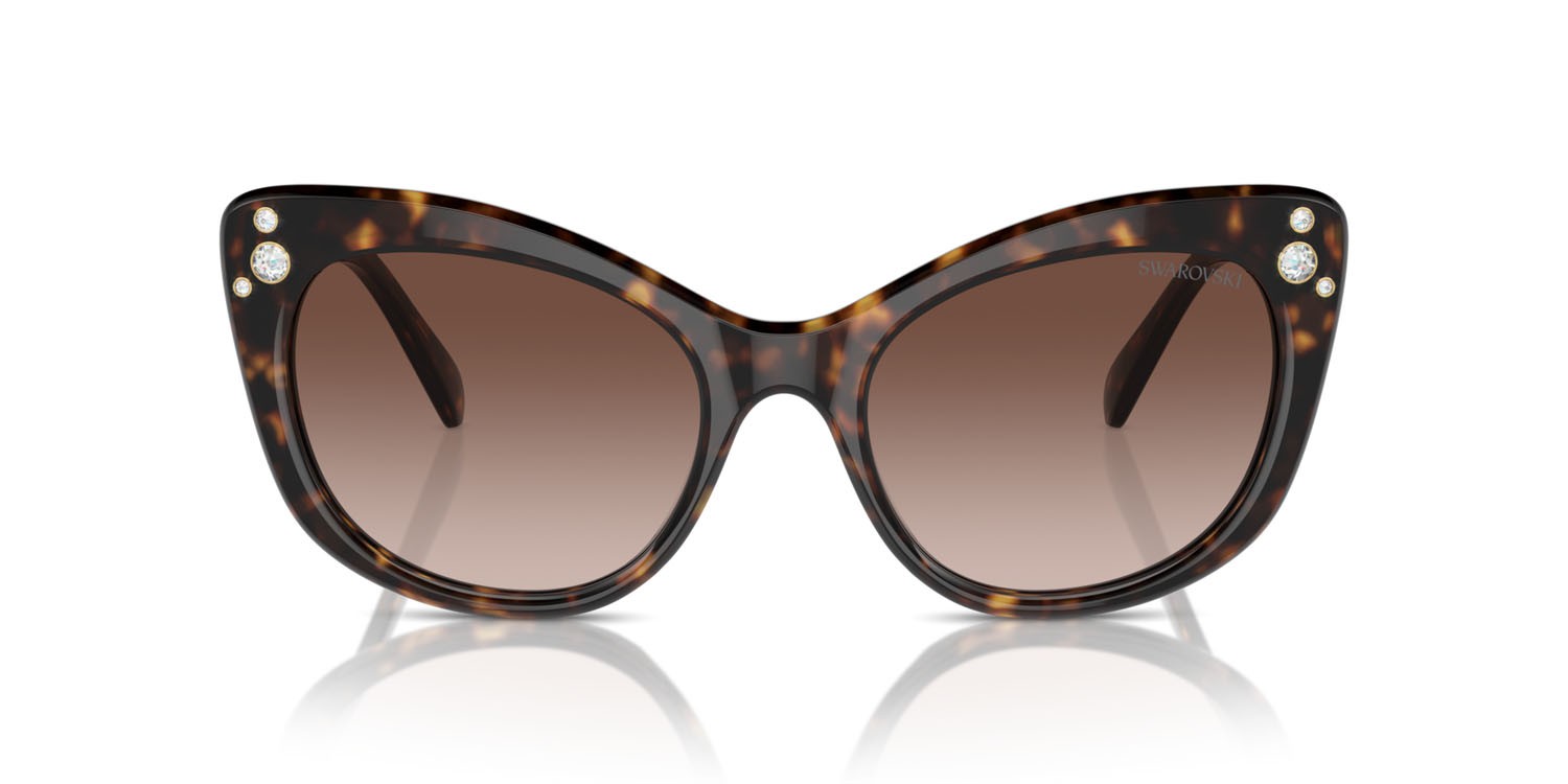 Sunglasses Swarovski SK 6020 (100213) color havana shape cat eye lenses marrone sfumato