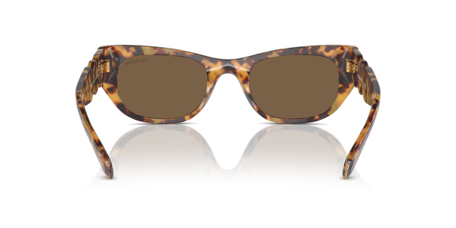 Sunglasses Swarovski SK 6022 (104073) color havana medio shape square lenses marrone scuro