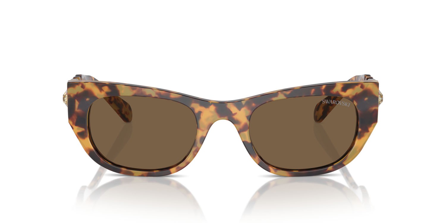 Sunglasses Swarovski SK 6022 (104073) color havana medio shape square lenses marrone scuro
