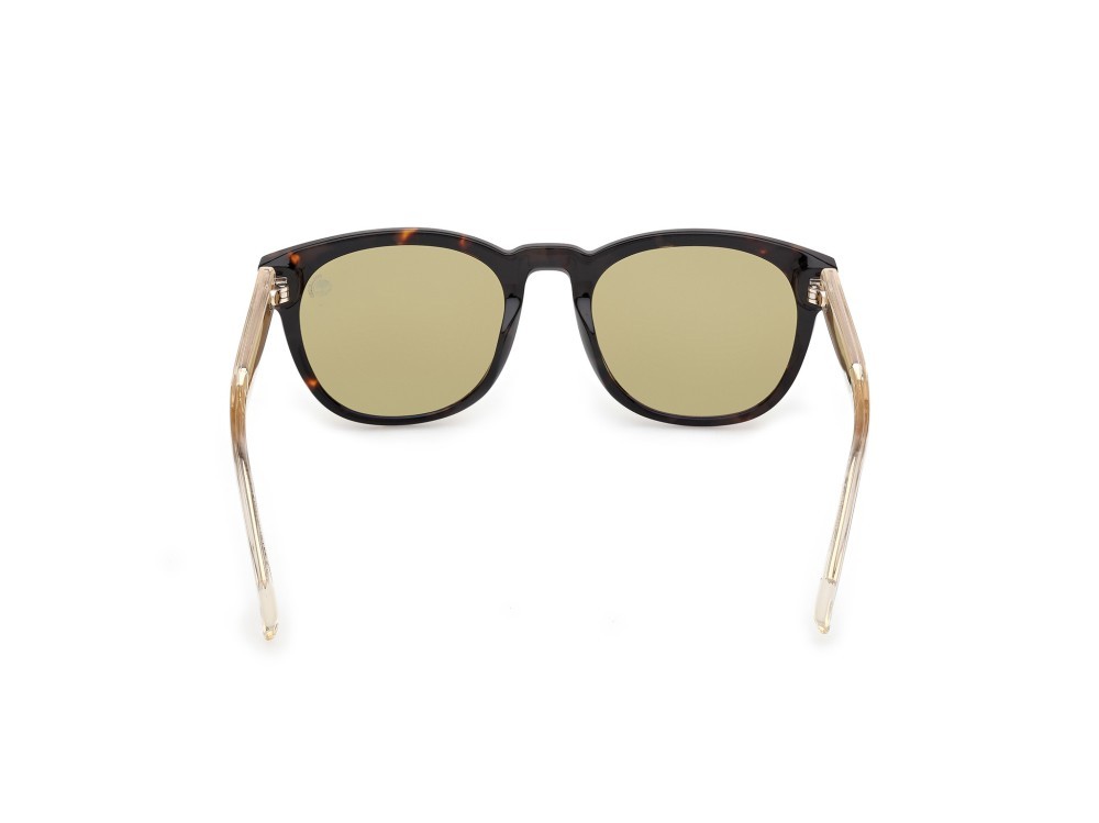 Sunglasses Timberland TB00060 (52H) color avana scura - cristallo shape round lenses marrone polar.