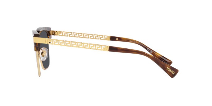 Sunglasses Versace VE 4447 (108/87) color havana shape rectangle lenses grigio scuro
