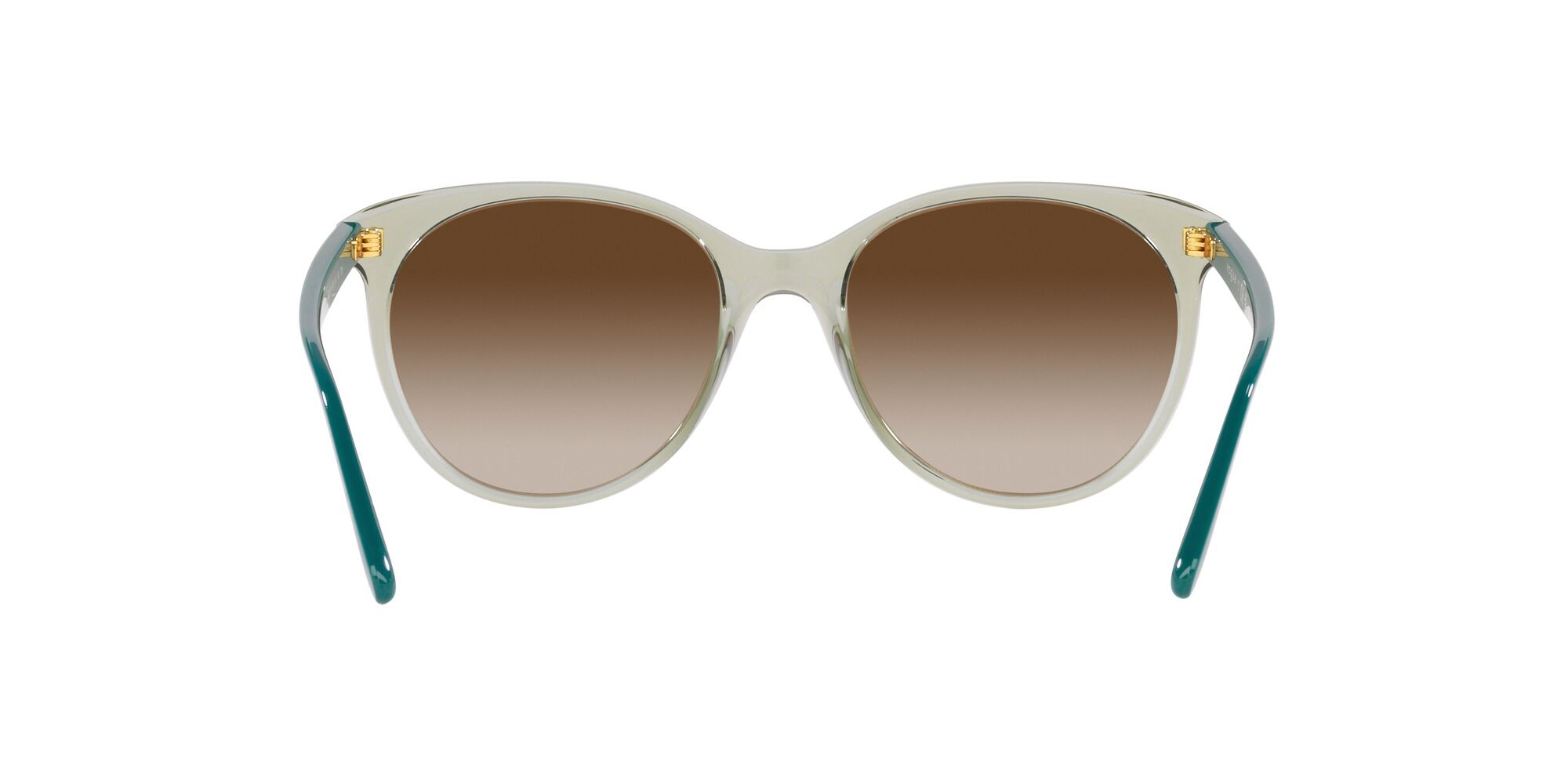 Occhiali da sole Vogue VO 5453S (302213) colore verde chiaro trasparente forma pantos lenti marrone sfumato