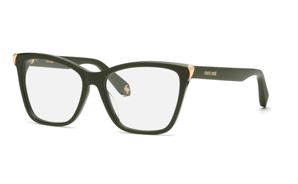 Eyeglasses Roberto Cavalli VRC101M (0C36) 