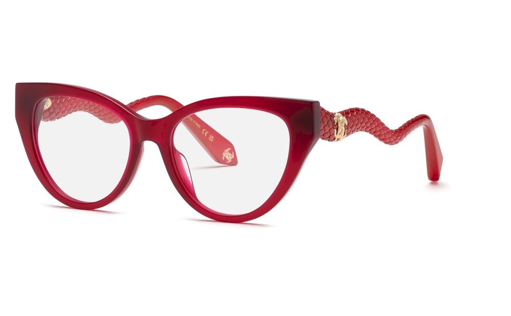 Eyeglasses Roberto Cavalli VRC118M (06PJ) 