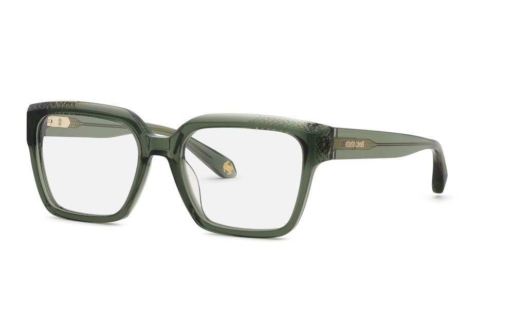 Eyeglasses Roberto Cavalli VRC147M (07TH) 