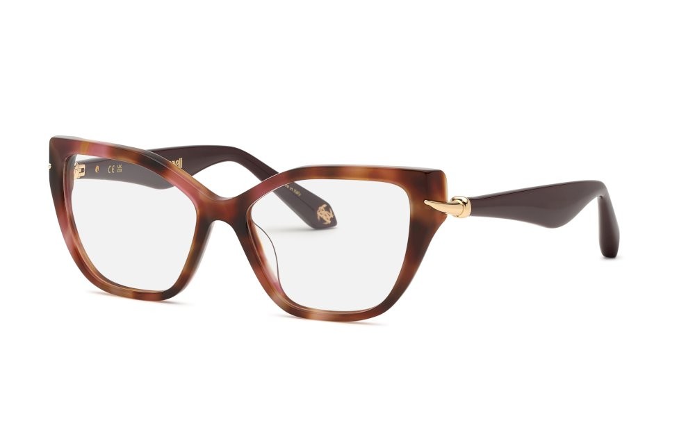 Eyeglasses Roberto Cavalli VRC161M (01GQ) 