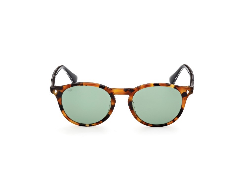 Sunglasses Web WE0328 (56N) color avana / altro shape round lenses verde