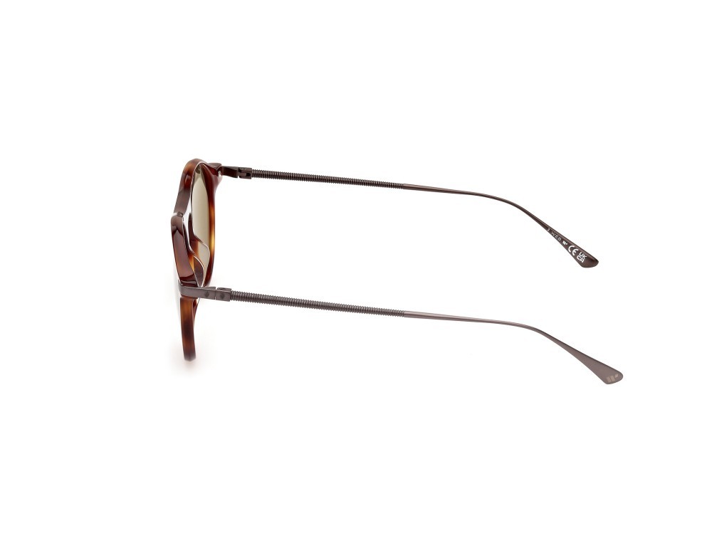 Sunglasses Web WE0346 (52N) color avana scura shape round lenses verde