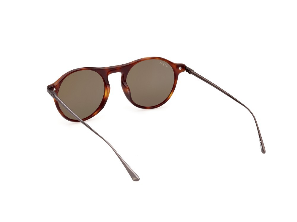 Sunglasses Web WE0346 (52N) color avana scura shape round lenses verde