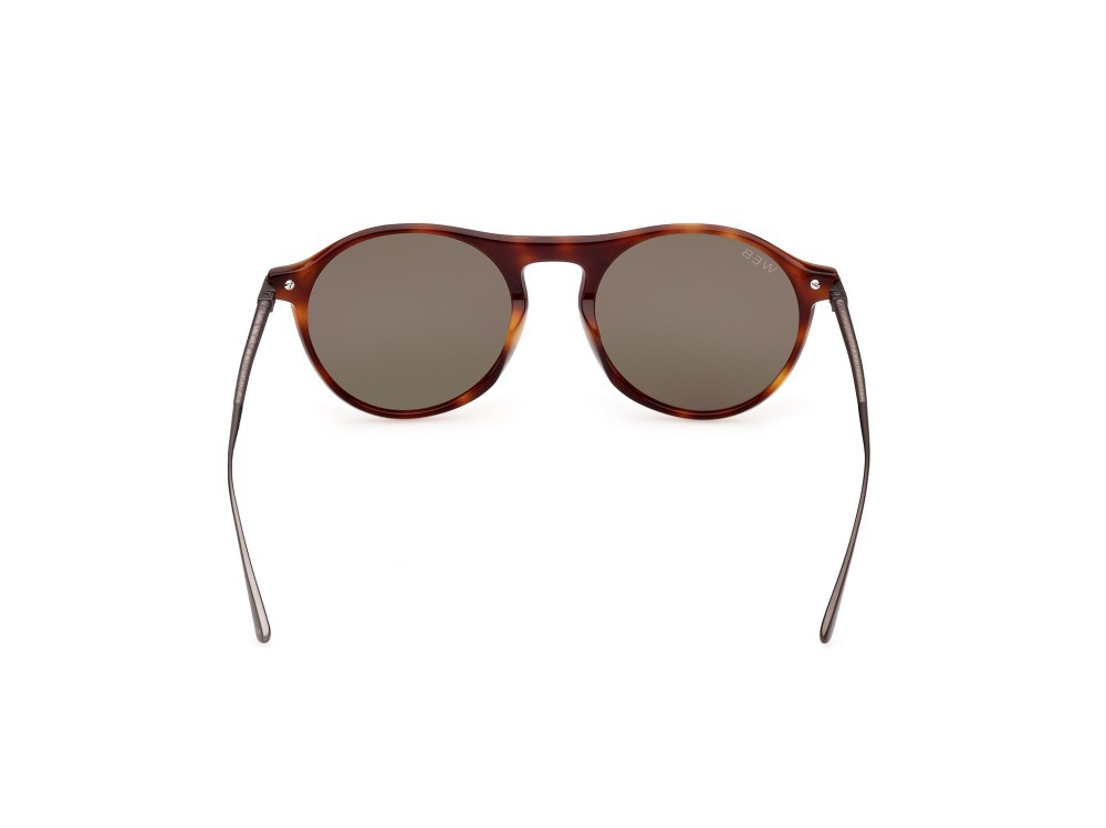 Sunglasses Web WE0346 (52N) color avana scura shape round lenses verde