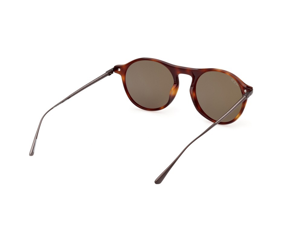 Sunglasses Web WE0346 (52N) color avana scura shape round lenses verde