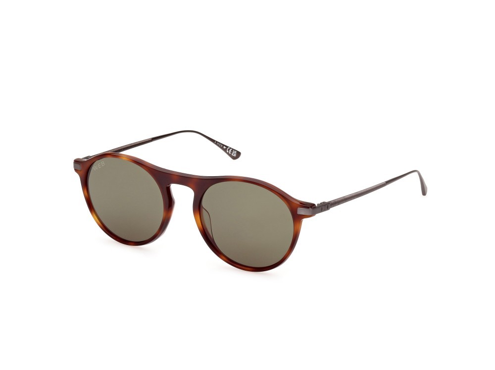 Sunglasses Web WE0346 (52N) color avana scura shape round lenses verde