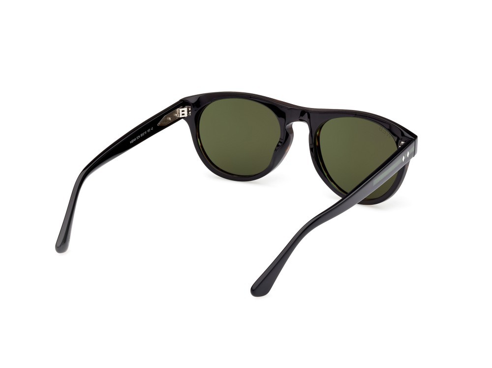 Sonnenbrillen Web WE0349 (52N) farbe avana scura form rund gläser verde