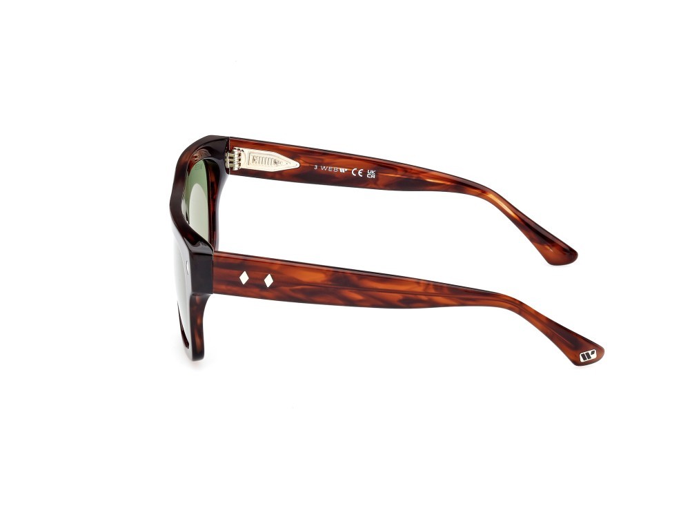 Sunglasses Web WE0354 (56N) color avana / altro shape square lenses verde 