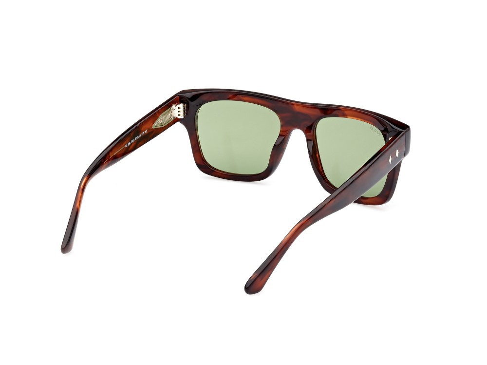 Sunglasses Web WE0354 (56N) color avana / altro shape square lenses verde 