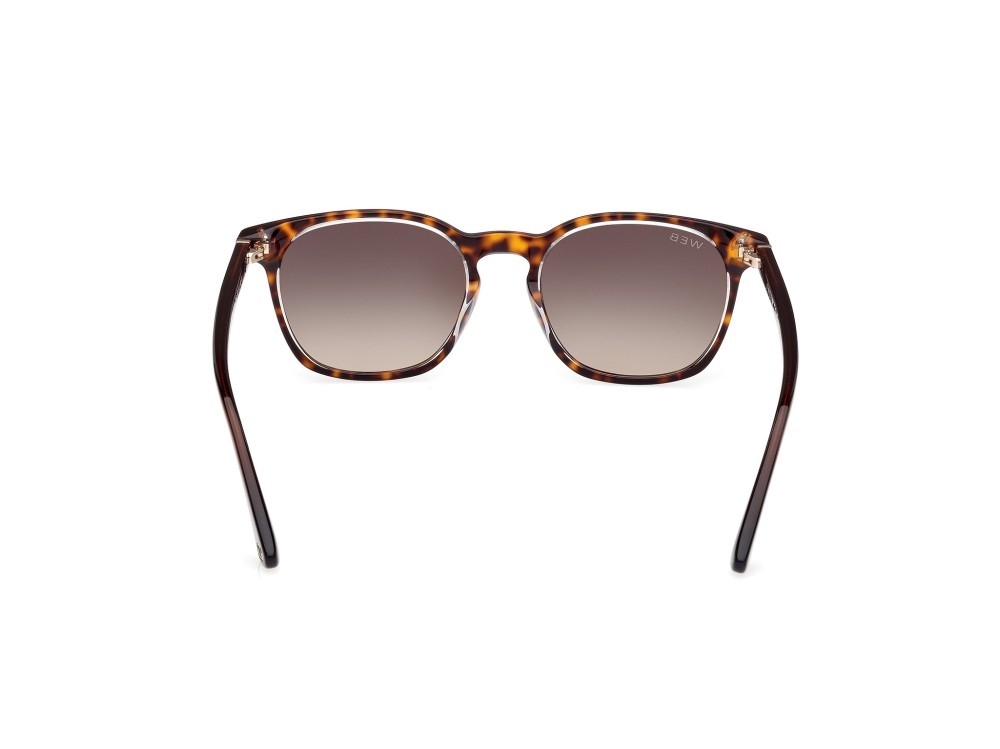 Sunglasses Web WE0364 (56B) color avana - marrone scuro lucido shape round lenses fumo grad.
