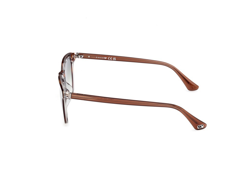 Sunglasses Web WE0364 (56P) color avana - marrone chiaro lucido shape round lenses verde sfumato