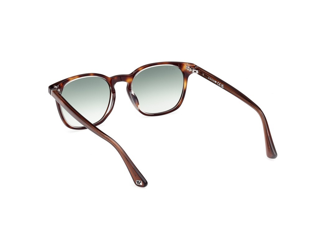 Sunglasses Web WE0364 (56P) color avana - marrone chiaro lucido shape round lenses verde sfumato