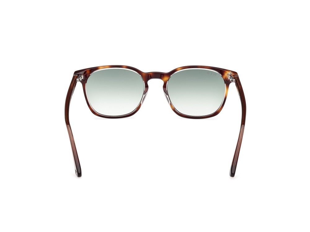 Sunglasses Web WE0364 (56P) color avana - marrone chiaro lucido shape round lenses verde sfumato