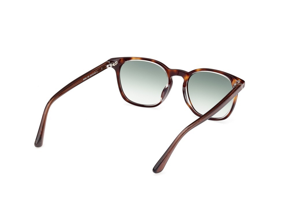 Sunglasses Web WE0364 (56P) color avana - marrone chiaro lucido shape round lenses verde sfumato