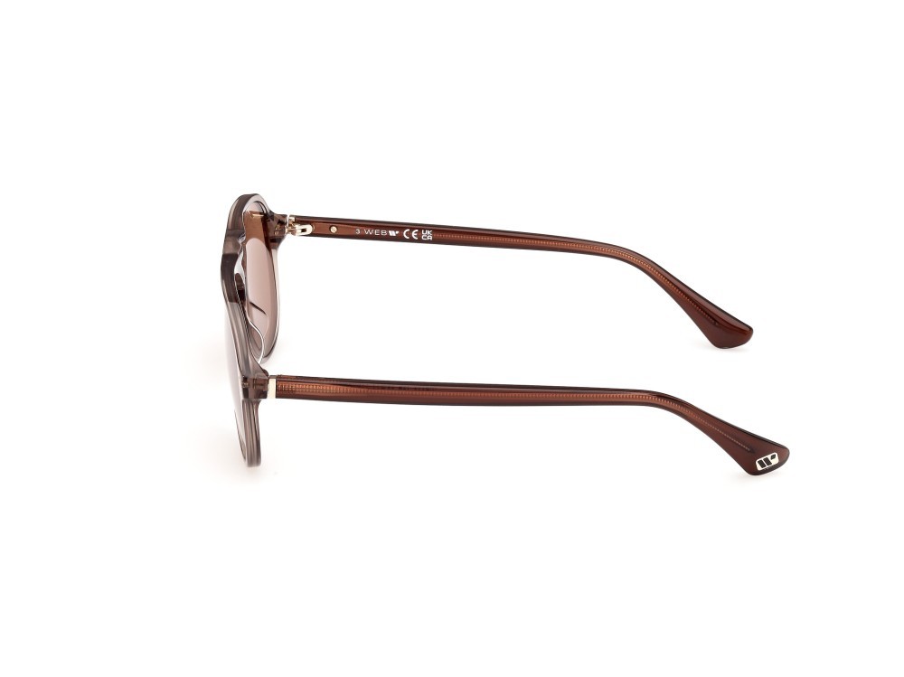 Sunglasses Web WE0368 (45E) color beige lucido shape aviator lenses marrone