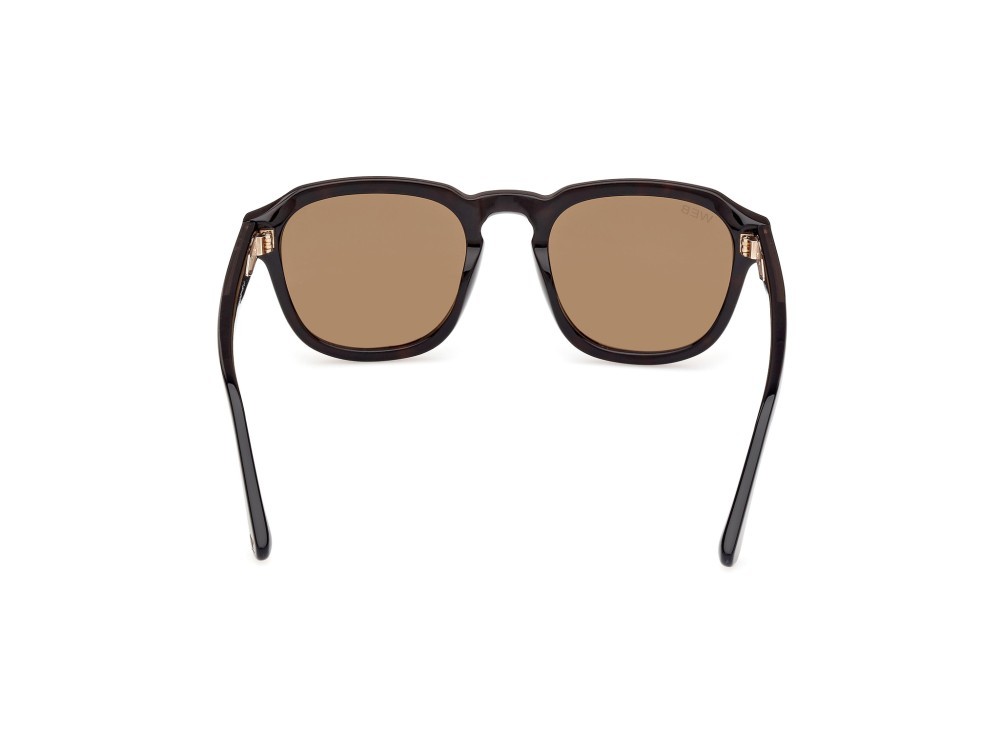 Sunglasses Web WE0370 (56J) color avana monocolore shape round lenses roviex
