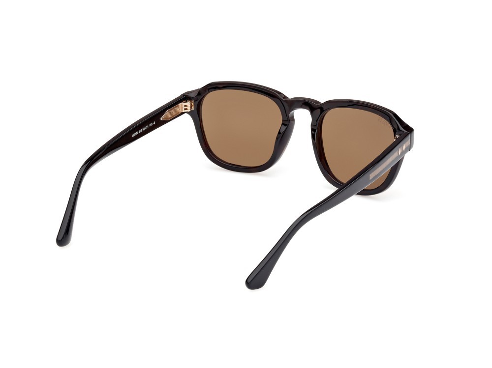Sunglasses Web WE0370 (56J) color avana monocolore shape round lenses roviex