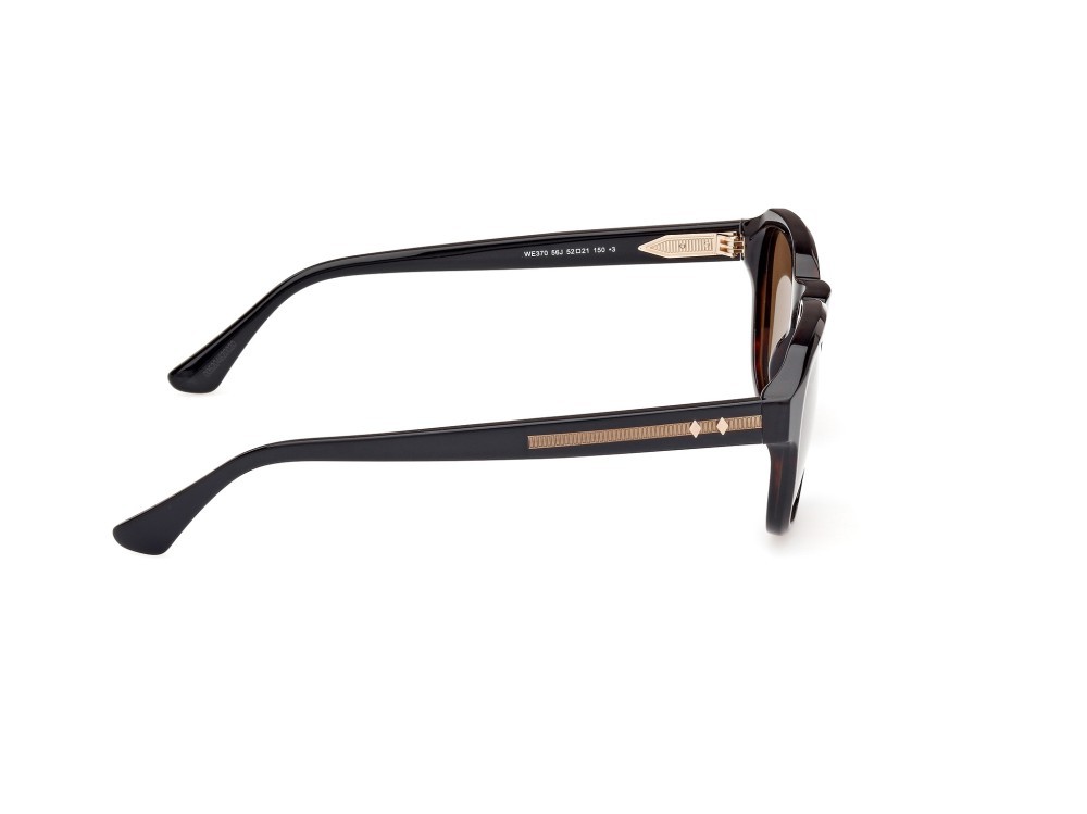 Sunglasses Web WE0370 (56J) color avana monocolore shape round lenses roviex