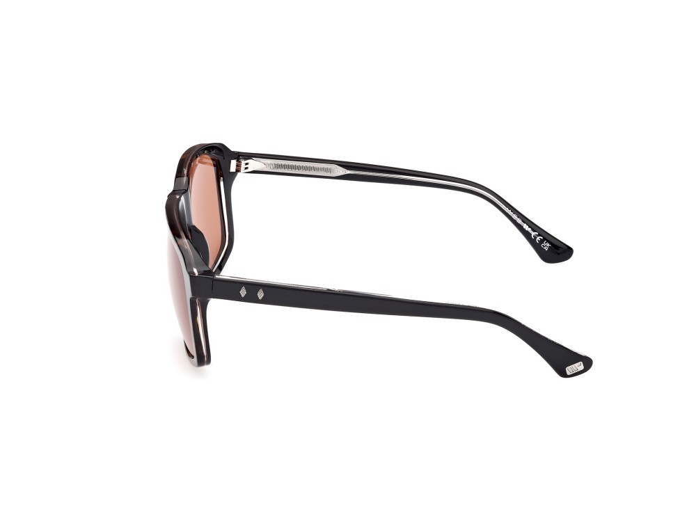 Sunglasses Web WE0378 (56J) color avana/monocolore - nero/cristallo shape square lenses marrone
