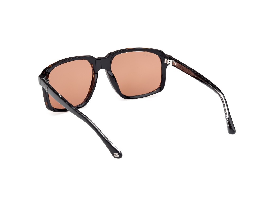 Sunglasses Web WE0378 (56J) color avana/monocolore - nero/cristallo shape square lenses marrone