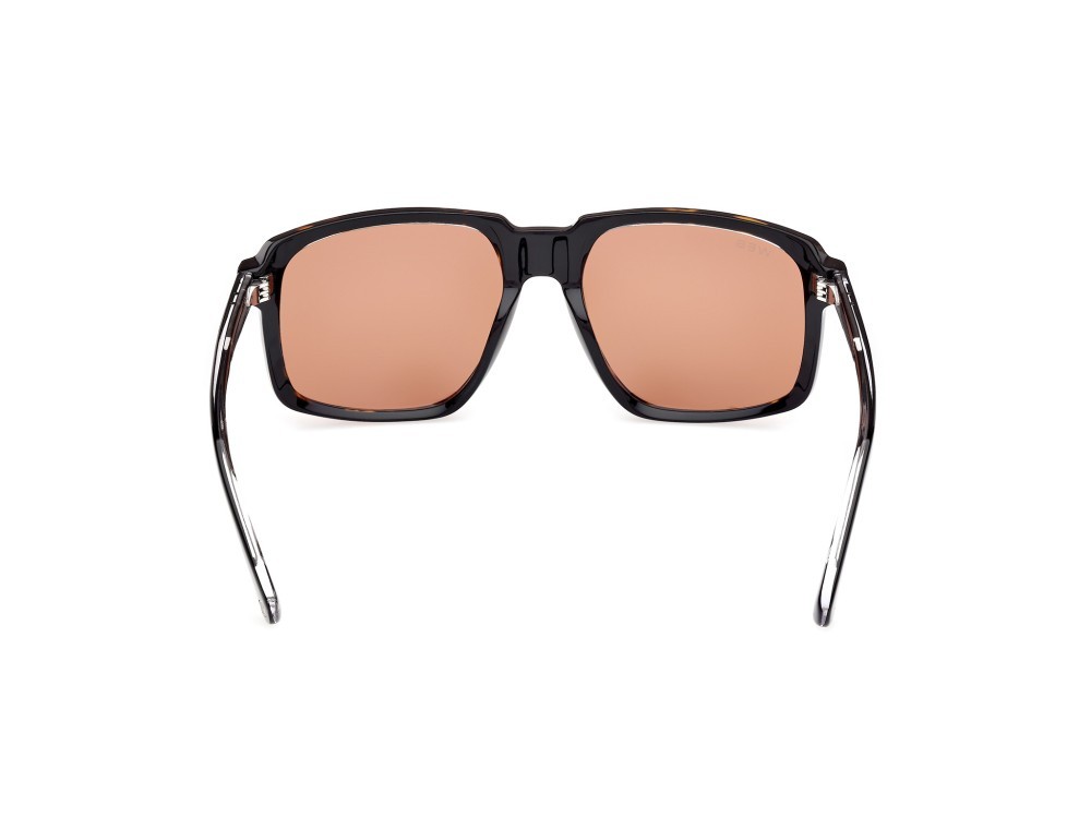 Sunglasses Web WE0378 (56J) color avana/monocolore - nero/cristallo shape square lenses marrone