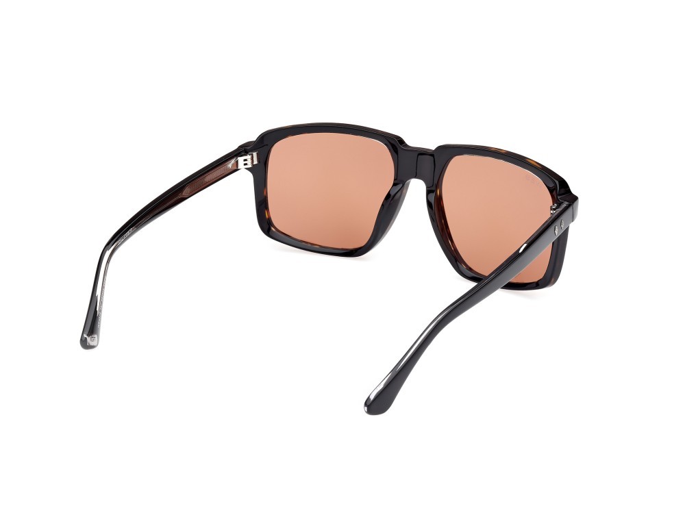Sunglasses Web WE0378 (56J) color avana/monocolore - nero/cristallo shape square lenses marrone
