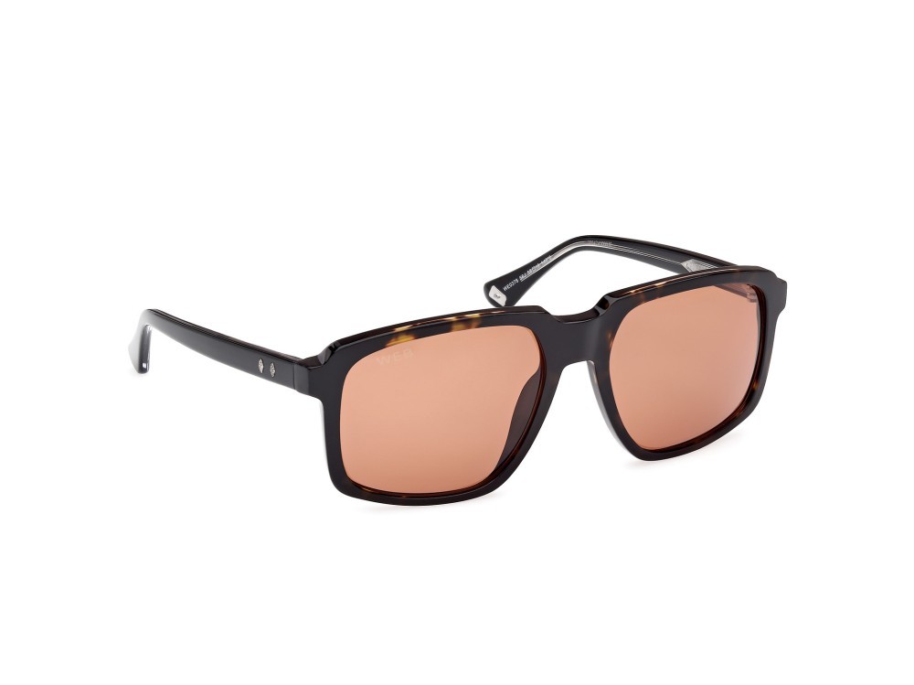 Sunglasses Web WE0378 (56J) color avana/monocolore - nero/cristallo shape square lenses marrone