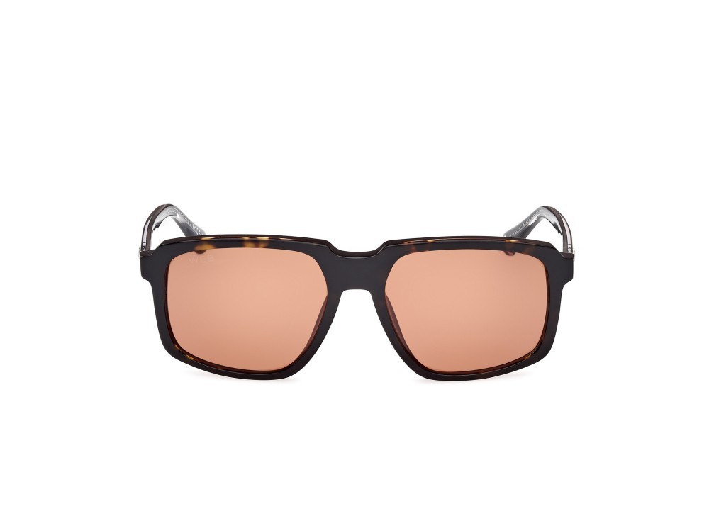 Sunglasses Web WE0378 (56J) color avana/monocolore - nero/cristallo shape square lenses marrone