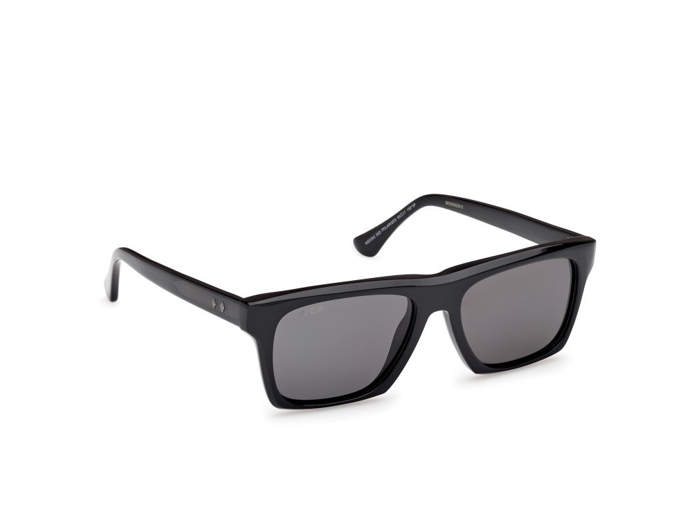 Sunglasses Web WE0382 (05D) color nero monocolore - nero lucido shape rectangle lenses fumo polar.
