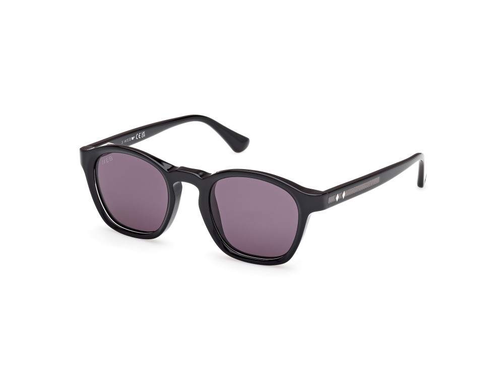 Sunglasses Web WE0384 (05A) color nero monocolore - nero lucido shape round lenses fumo