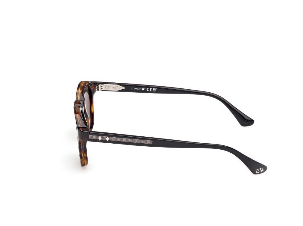 Sunglasses Web WE0384 (55N) color avana monocolore - nero lucido shape round lenses verde